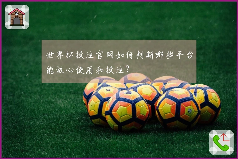 世界杯投注官网如何判断哪些平台能放心使用和投注？