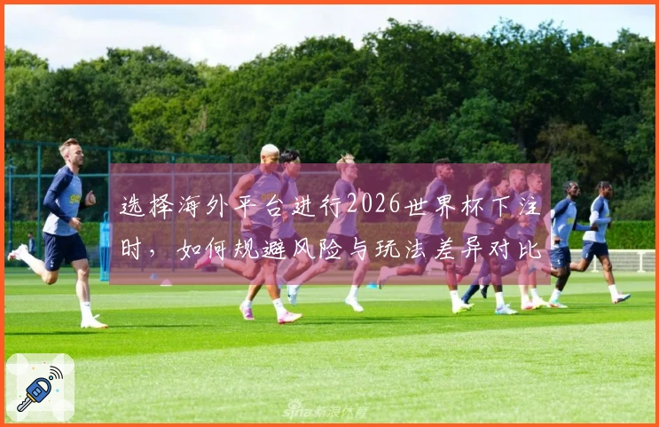 选择海外平台进行2026世界杯下注时，如何规避风险与玩法差异对比